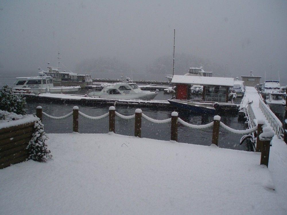 Backeddy Resort And Marina Egmont Екстериор снимка